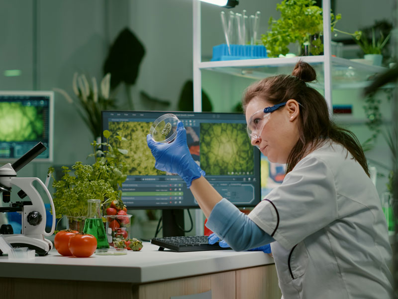 woman in lab inspecting petri dish with leaf
