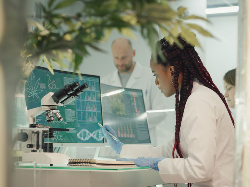 Woman lab tech researching cannabis