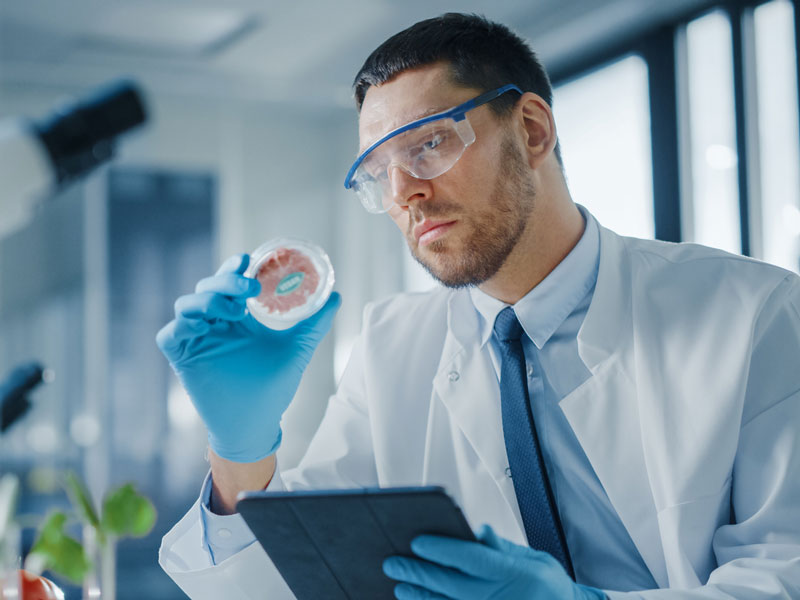 Scientist inspecting meat sample